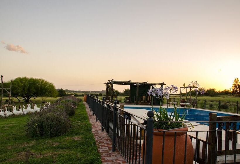 교외 호텔 Tierra Chana Estancia De Campo