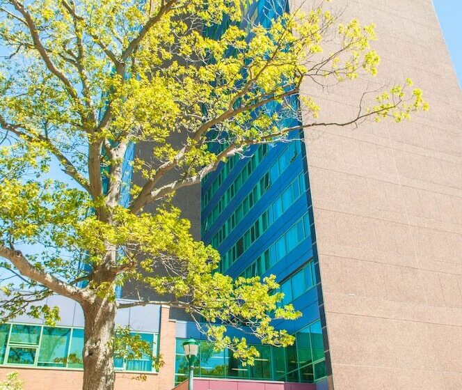 Отель Saint Mary S University Residence Summer Accommodations