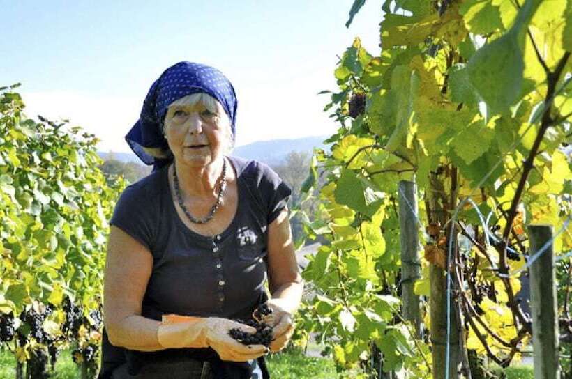 בית מלון כפרי Stiftung Kartause Ittingen