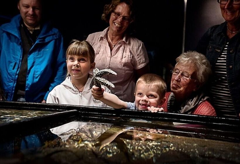 酒店 Strandflickornas Husen Invid Havet