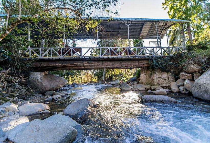 בית מלון כפרי Sueños Del Bosque