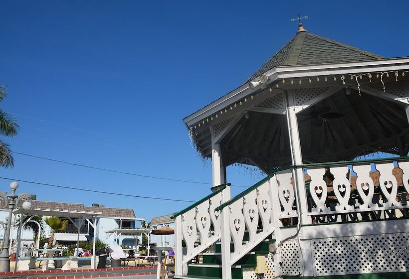 Отель Twins Inn & Apartments