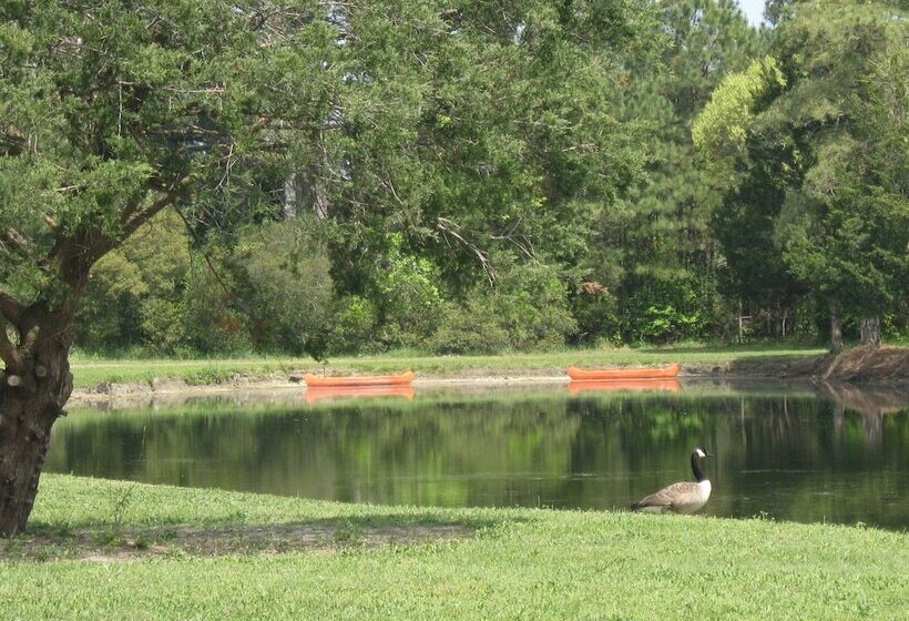 酒店 Virginia Landing Rv Campground