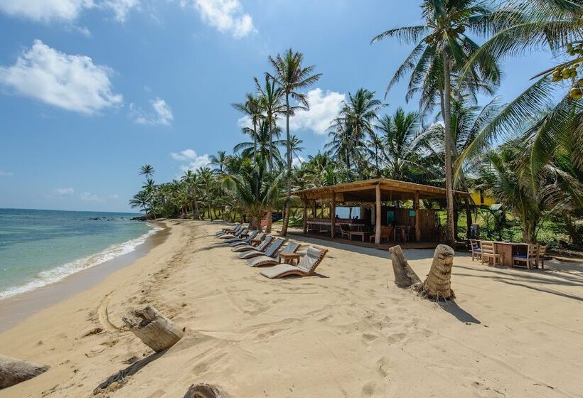 Отель Yemaya Reefs