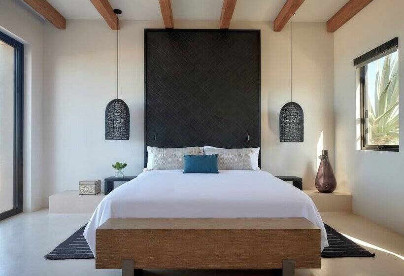 Kimpton Mas Olas Resort And Spa By Ihg