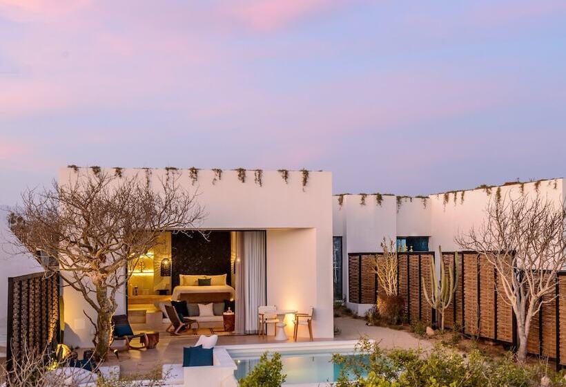 Kimpton Mas Olas Resort And Spa By Ihg