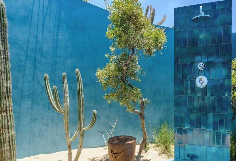 Kimpton Mas Olas Resort And Spa By Ihg