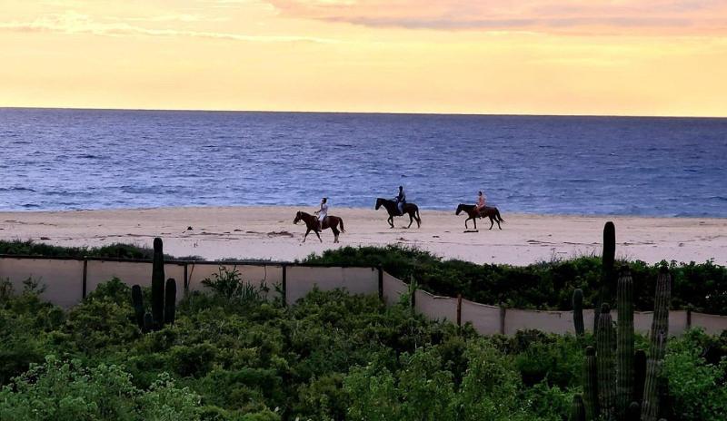 Kimpton Mas Olas Resort And Spa By Ihg