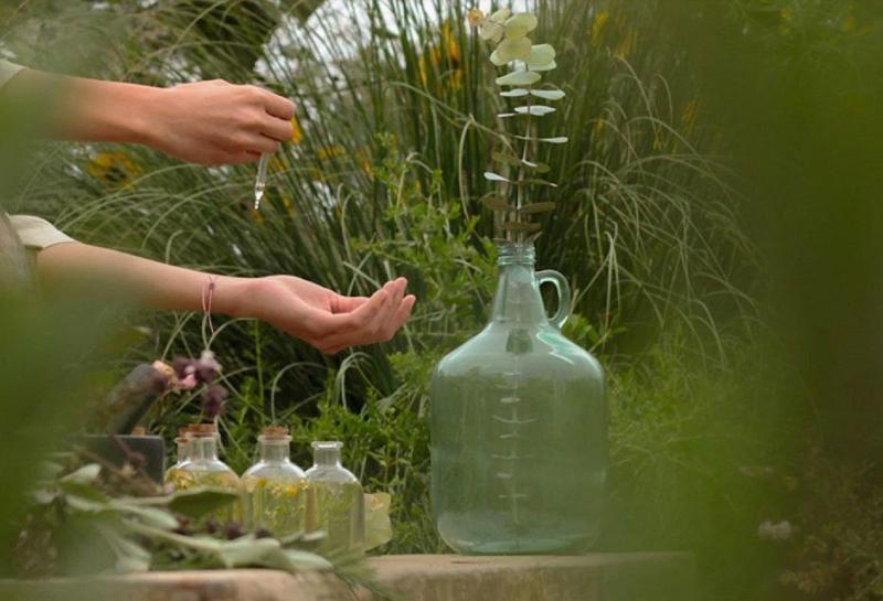 Kimpton Mas Olas Resort And Spa By Ihg