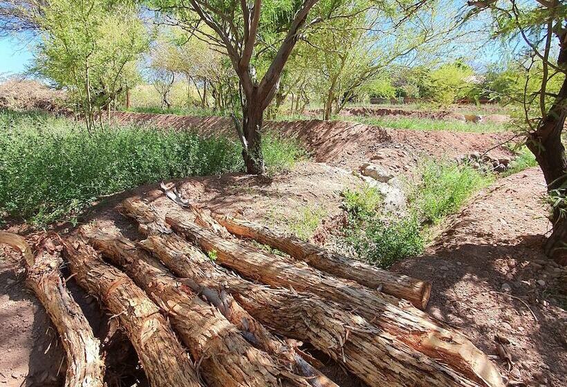 Lodge Ancar Atacama