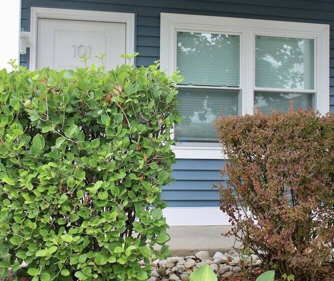 모텔 Empire Lakeshore Inn