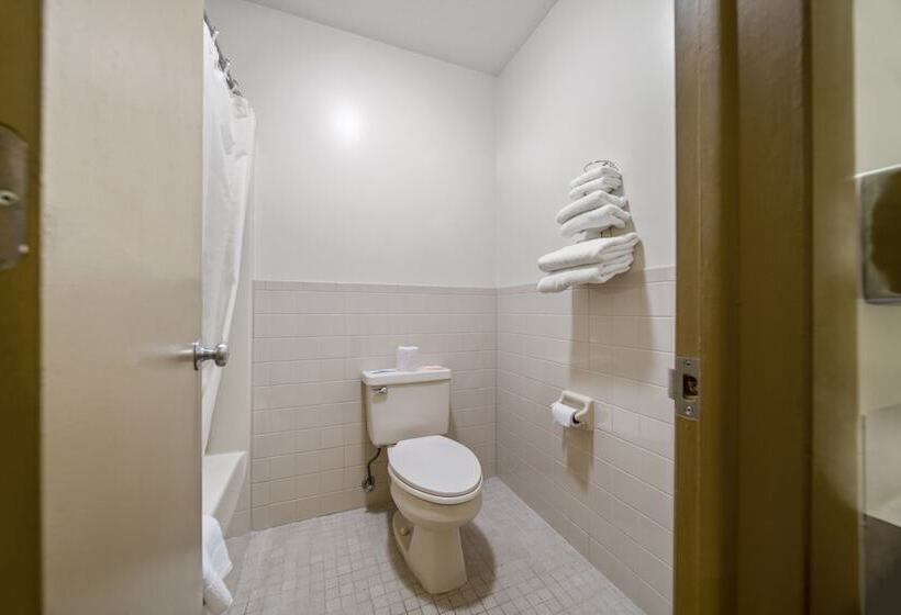 מוטל Executive Inn Cass City