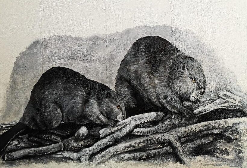 모텔 Overlook Inn & Cabins