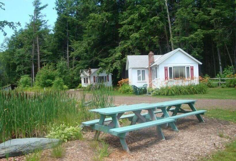 汽车旅馆  The Cabins At Autumn Mountain Winery