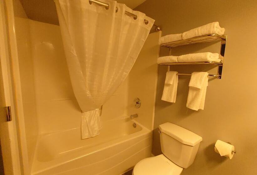 فندق على الطريق Traveler S Inn