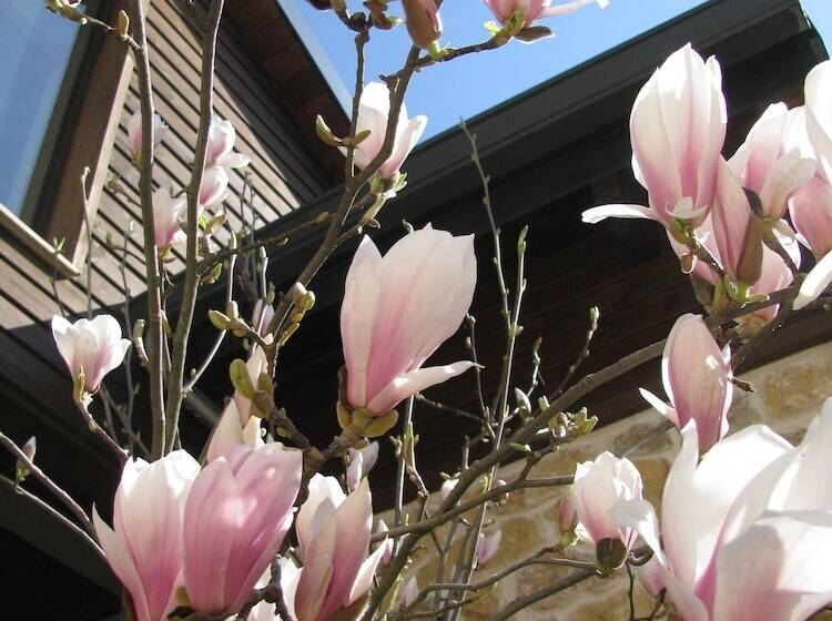 Orizontes Tzoumerkon Hotel Resort