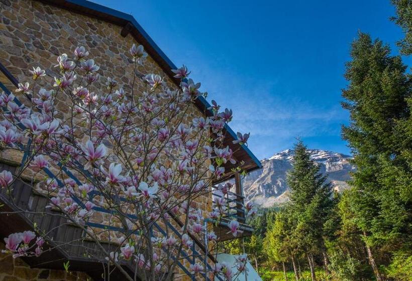 Orizontes Tzoumerkon Hotel Resort