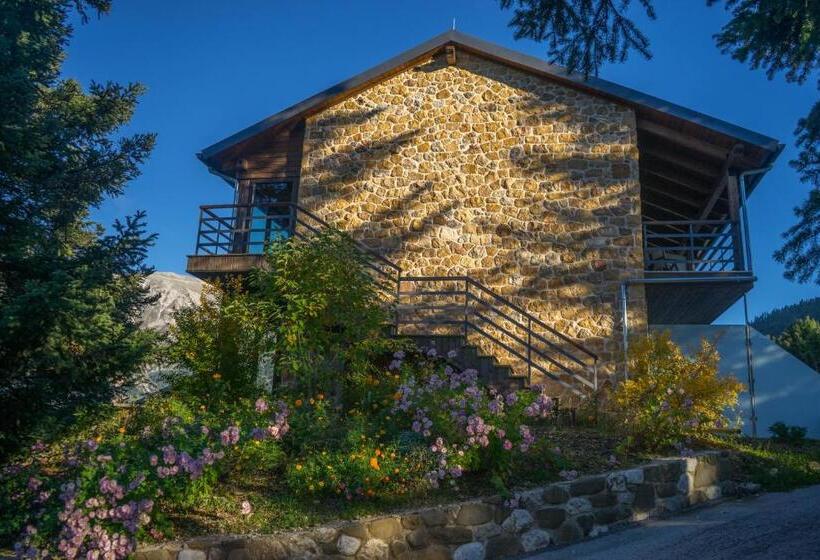 Orizontes Tzoumerkon Hotel Resort