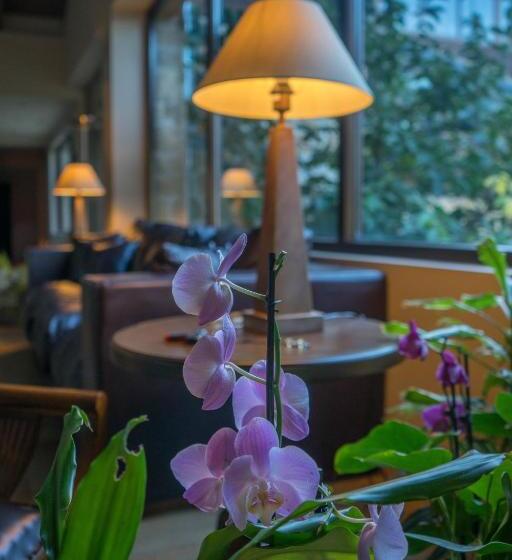 Orizontes Tzoumerkon Hotel Resort