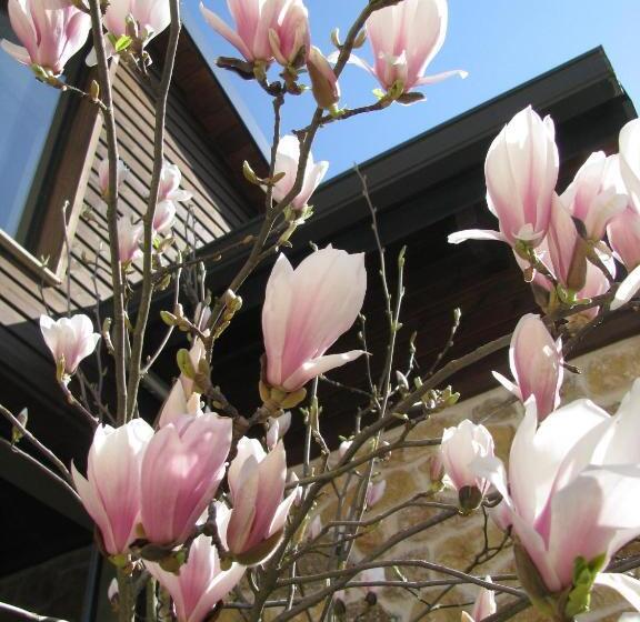 Orizontes Tzoumerkon Hotel Resort