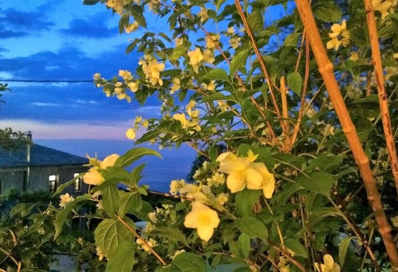 פנסיון Aleka S House