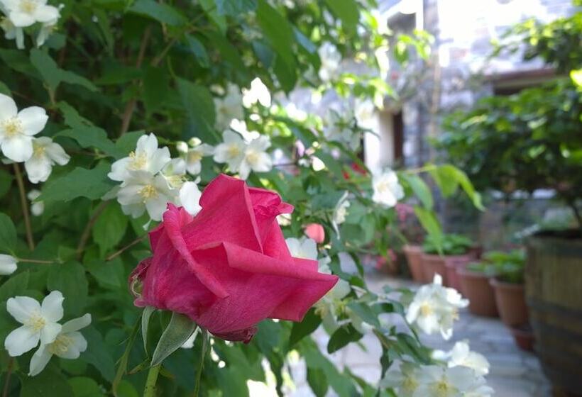 פנסיון Aleka S House