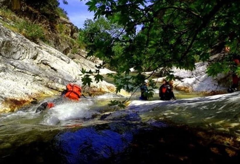 פנסיון Aleka S House