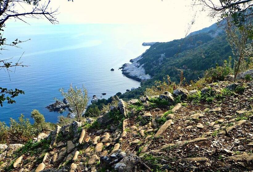 פנסיון Aleka S House