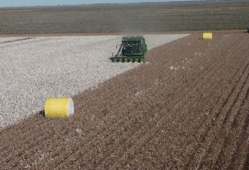 פנסיון Corynnia Station