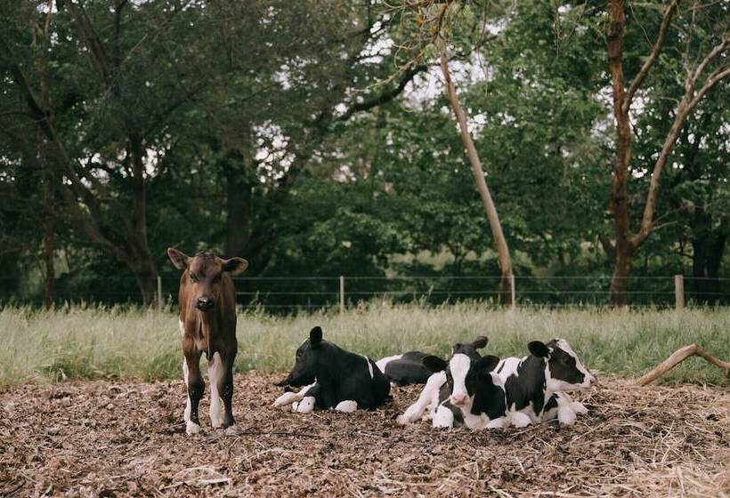 膳宿费 Flowerdale Estate