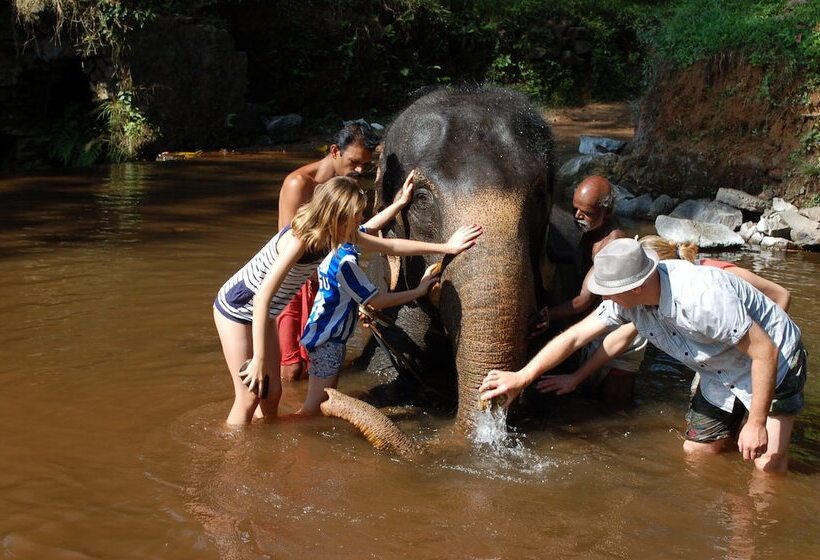 膳宿费 Mannaas Veedu Retreat & Spa