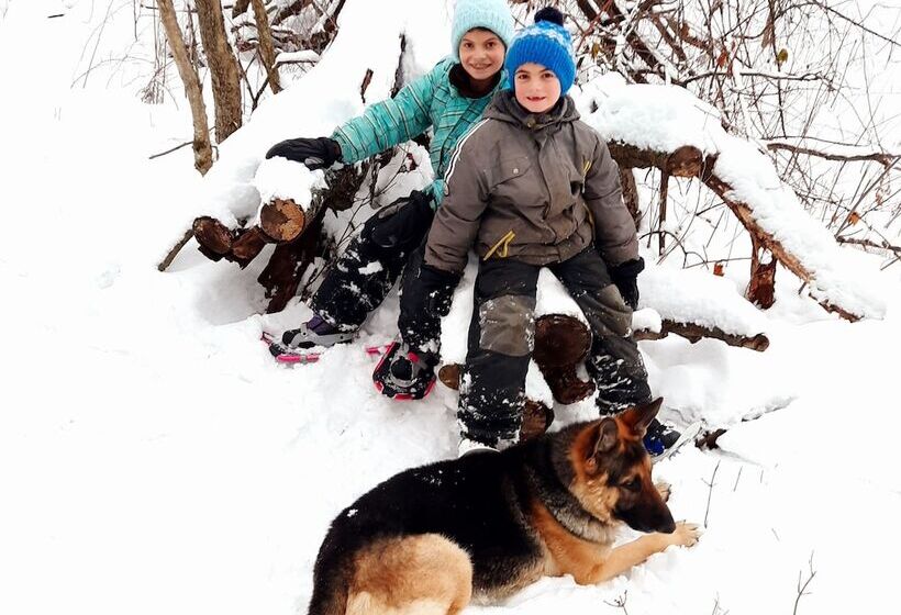 بنسيون Mountain Ash Farm Country Manor