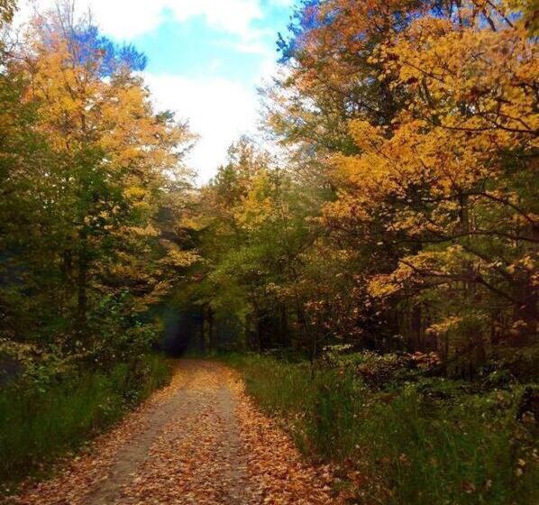 بنسيون Mountain Ash Farm Country Manor