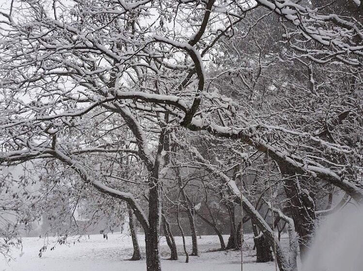 פנסיון Seclusions Blue Mountains