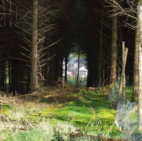 Пансион Stoops Guesthouse