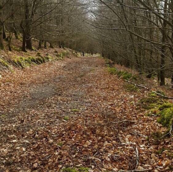 Пансион Stoops Guesthouse