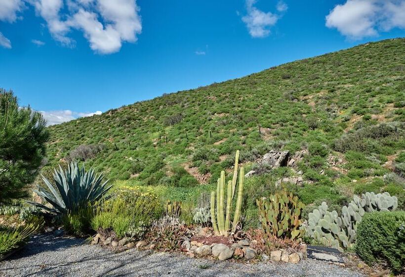 Pio Pico Rv Resort & Campground