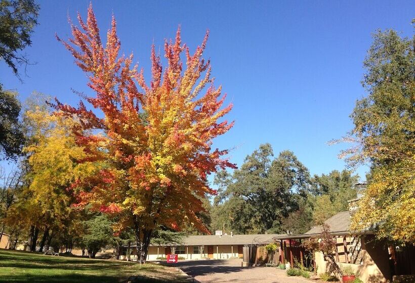 Queen S Inn By The River