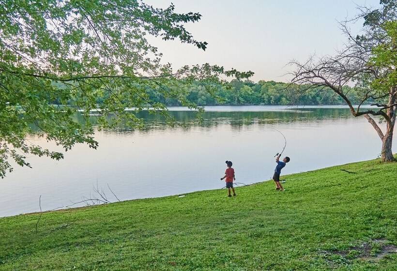 渡假胜地  O Connell S Rv Campground