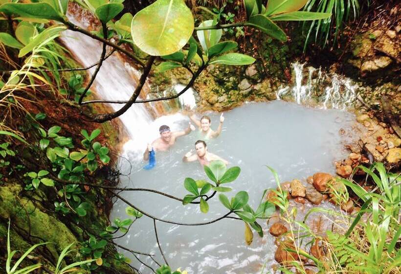Resort Otel Pagua Bay House Oceanfront Cabanas
