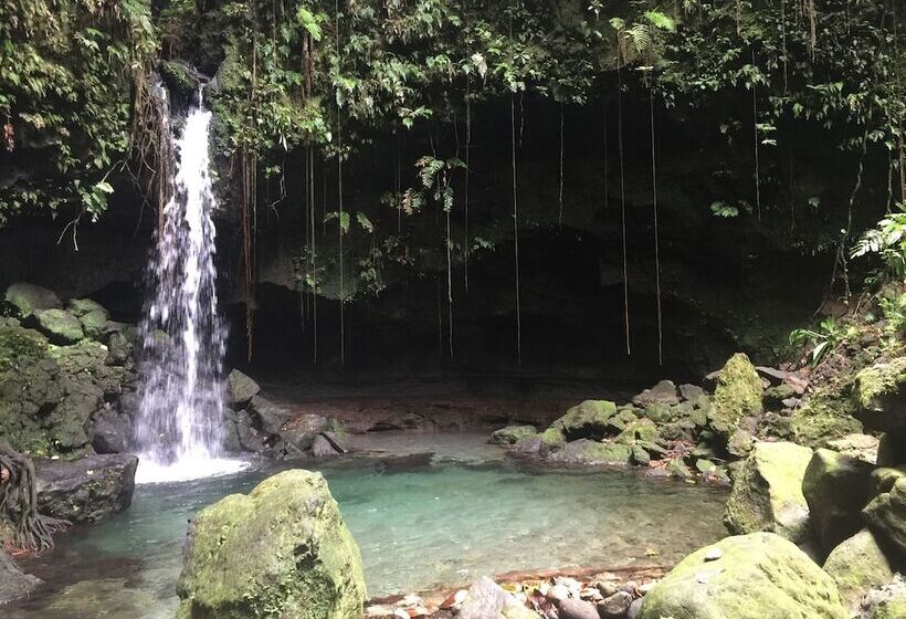 Resort Otel Pagua Bay House Oceanfront Cabanas