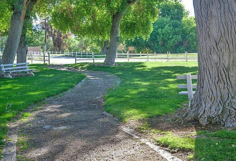 Soledad Canyon Rv & Camping Resort