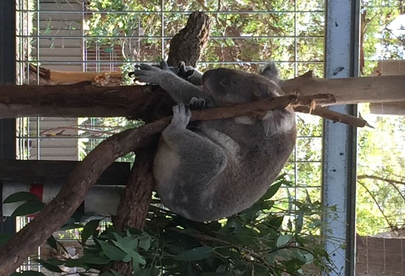 Telegraph Retreat Cottages