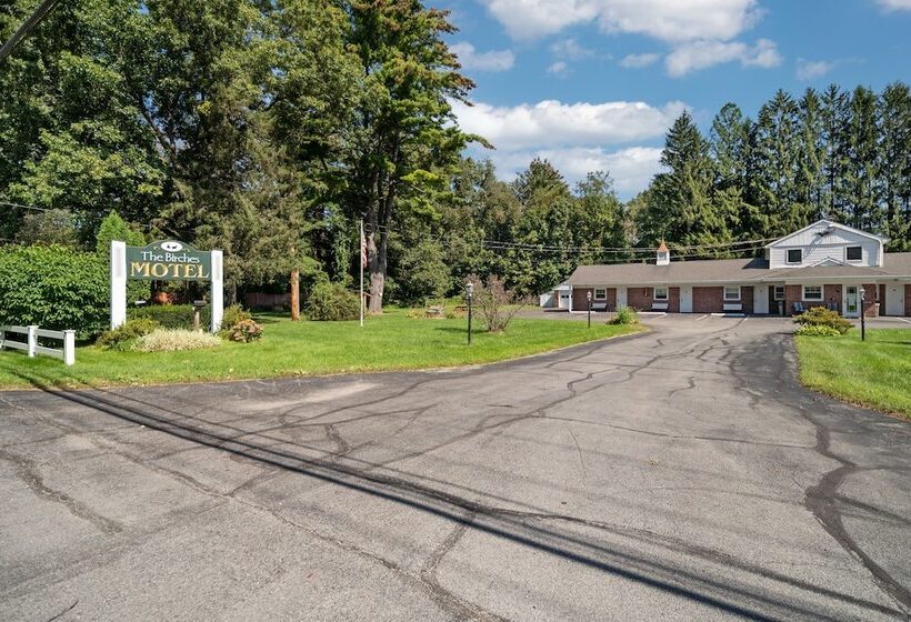 The Birches Motel
