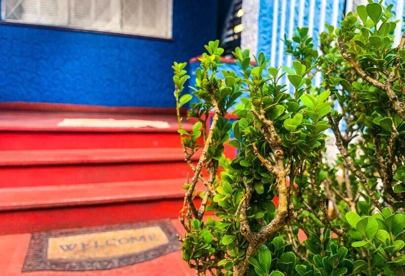 Общежитие Home Center