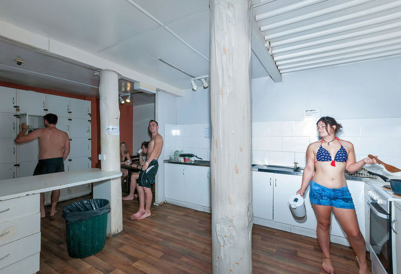 فندق صغير Reef Backpackers