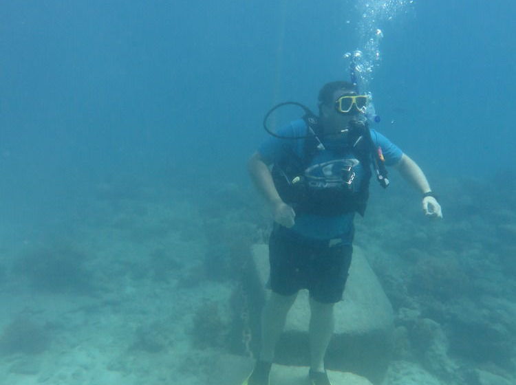 فندق صغير Reef Backpackers