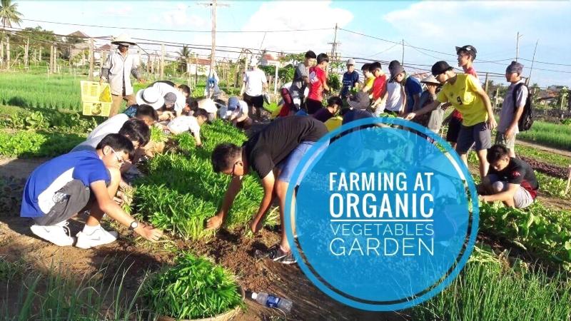 تختخواب و صبحانه The Moon River Homestay & Villa