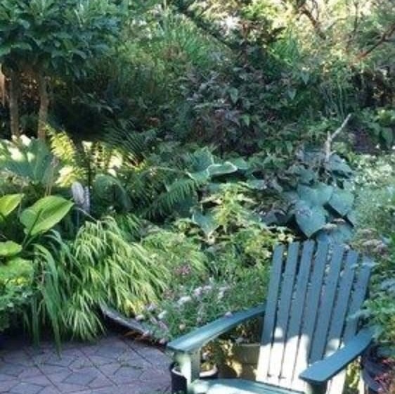 Geiger Victorian B&b