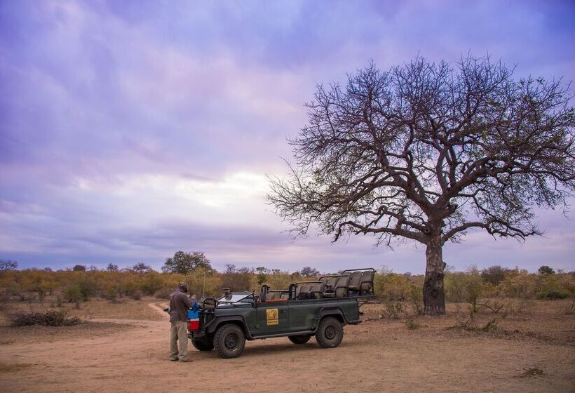 酒店 Baobab Ridge Private Lodge